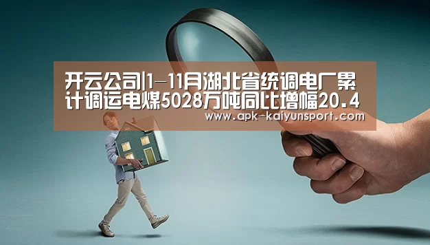 开云公司