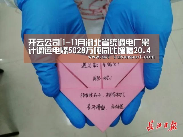 开云公司|1-11月湖北省统调电厂累计调